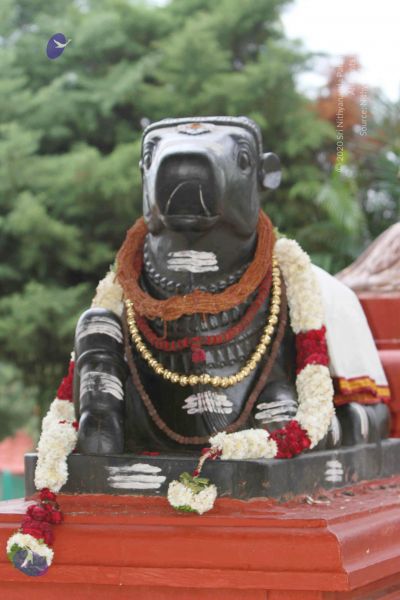 File:20140922 morepics 8424 CMP WM.jpg