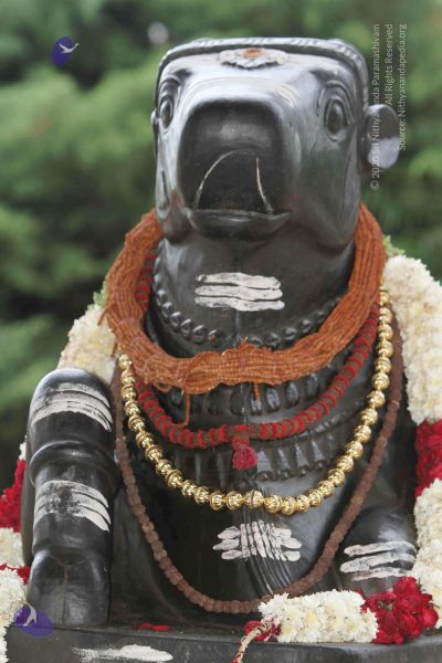 File:20140922 morepics 8425 CMP WM.jpg