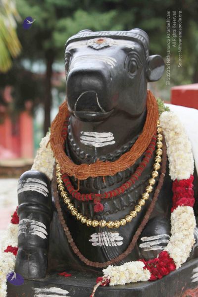 File:20140922 morepics 8426 CMP WM.jpg