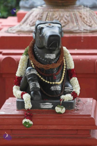 File:20140922 morepics 8429 CMP WM.jpg