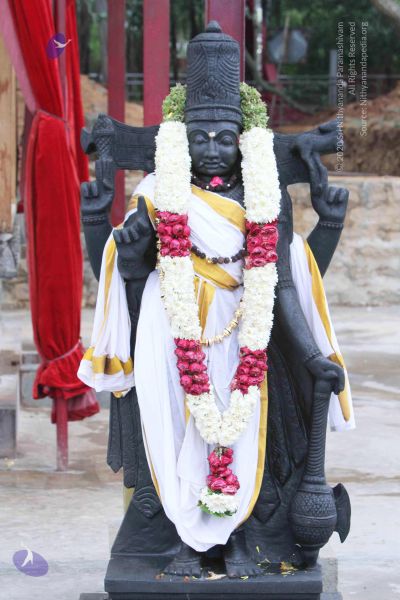 File:20140922 morepics 8439 CMP WM.jpg