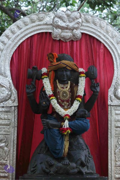 File:20140922 morepics 8449 CMP WM.jpg