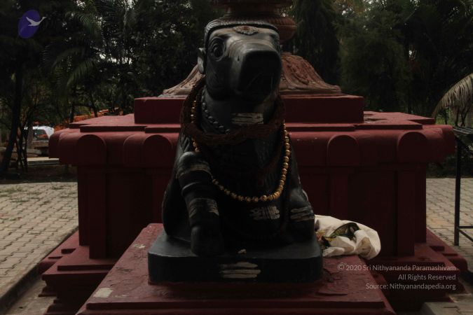 20140923 Photo 1000 162ksxFqfSzKWLTeltRelsYS7CxUROOko.JPG