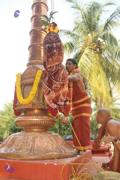 File:20140926 9312 CMP WM.jpg