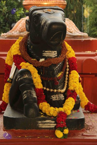 File:20140926 9382 CMP WM.jpg