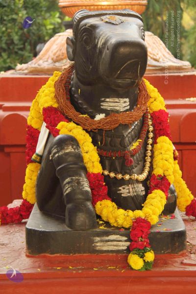 File:20140926 9383 CMP WM.jpg