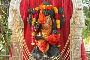 20140926 Photo 1014 1aXA8mKoDtXkQpw3hYobknTDG2sh6RnIl.JPG