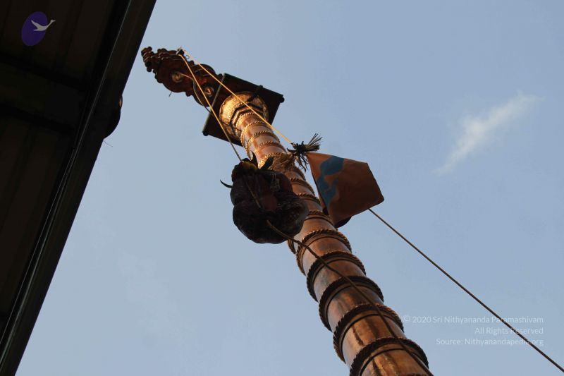 File:20140926 Photo 1045 1495947gh1psOUMbx68uhvFaLlp3MFY2T.JPG