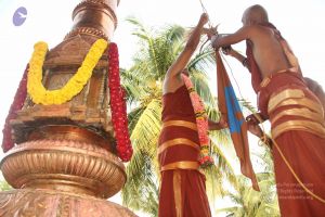 20140926 Photo 1048 1 9wuFuT2ITsp3y2CxM81J7cBdnhGmsK1.JPG