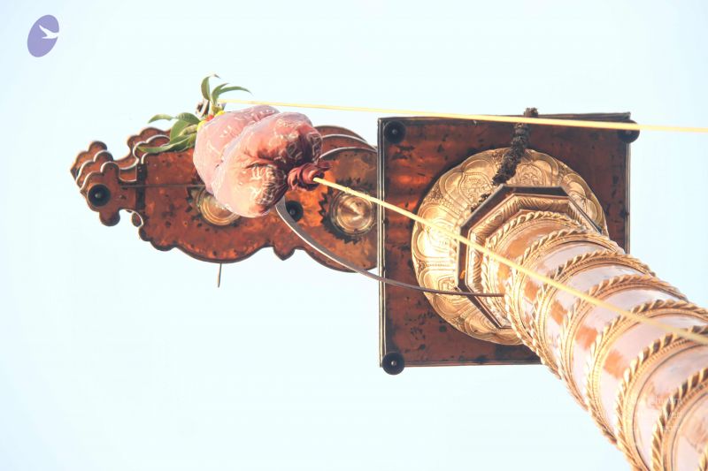 File:20140926 Photo 1057 1xGNGPNCuUzh53HbNBB nGy4ZfeIvuRi6.JPG