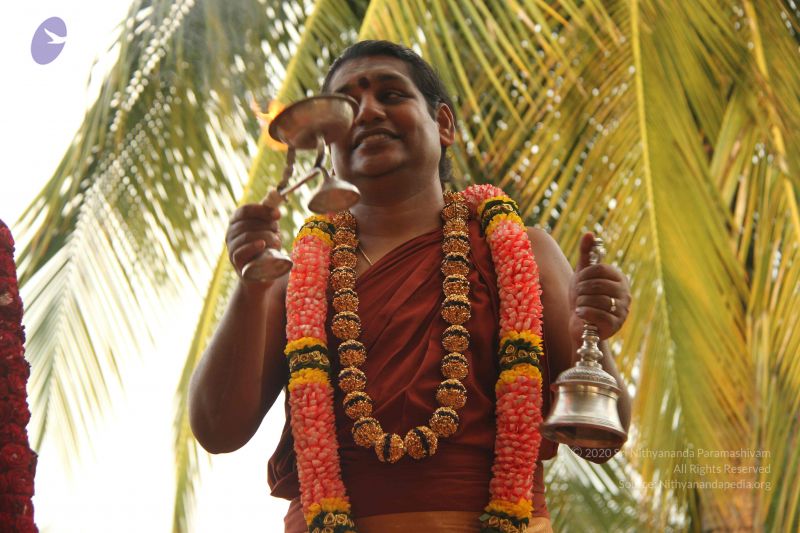 File:20140926 Photo 1075 1UpGZCJ3sTq7m1ROEDktlVubSQzF5XYo3.JPG