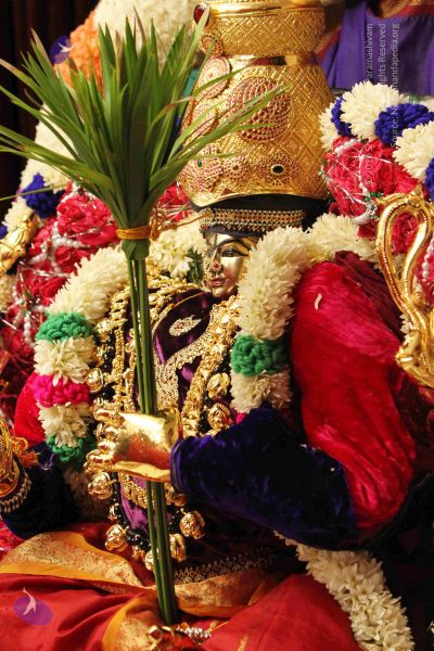 File:20140928 9684 CMP WM.jpg