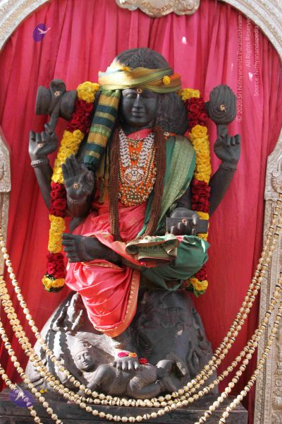 File:20140928 NDY 9916 CMP WM.jpg