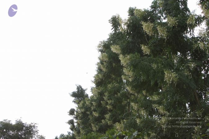 20140928 Photo 1062 10SapjdNvncKo-FzHGK2hMuJaE3Cg5TEe.JPG