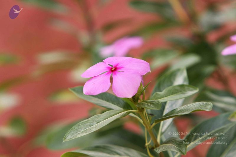 File:20140928 Photo 1063 1AAMFgq8Nupwj-LxH8tTD58LQXfYqi1ut.JPG