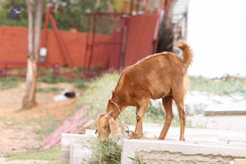 File:20140928 Photo 1064 1xW4BvLxLqZL3qBHzyRLSlvvHEBk7YjH-.JPG