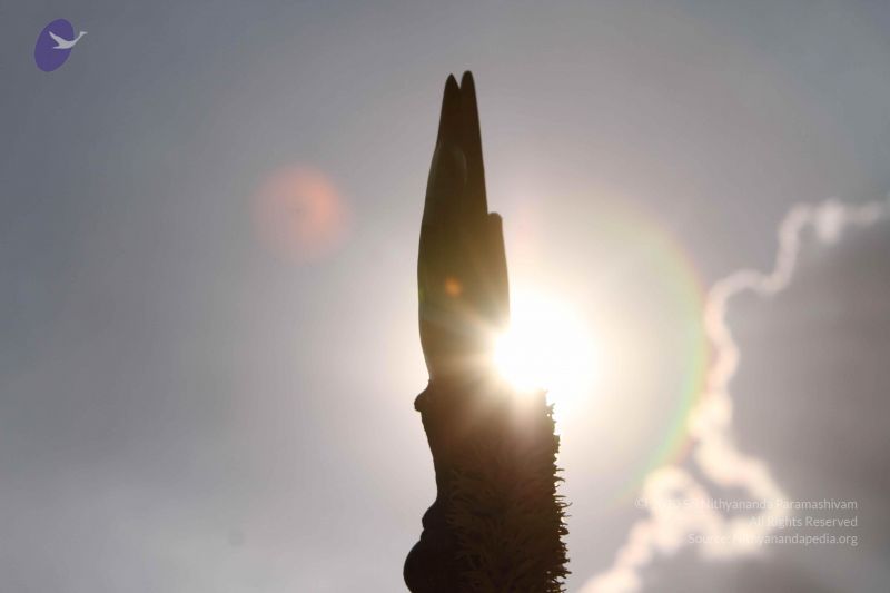 File:20140928 Photo 1071 1Un5TqjVjr7dDCAVPGJSugDDVesMDsLE7.JPG