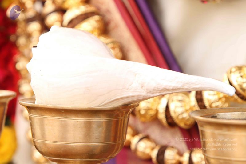 File:20140928 Photo 1075 1FGk UkD9Ya1haluPMCIY8ffrFvAEiq1a.JPG