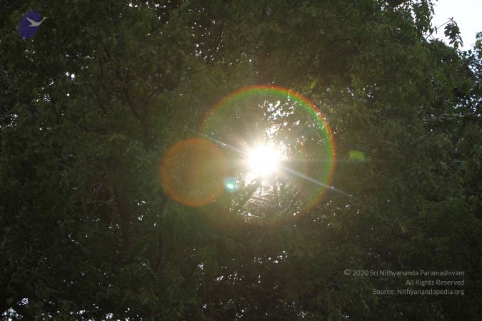 20140928 Photo 1081 1u5lvXoTZN7MzJCXUYGAx2L8qvXg4cqCF.JPG