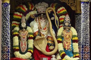 20140930 Photo 1092 1TRlG1teI8FymvUBPFgBwMiL5X2kENamD.JPG