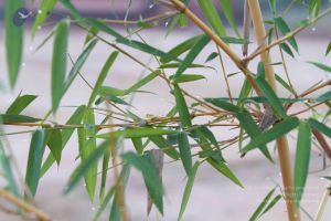 20141002 Photo 1034 1jEnAUPt4Gy5frRFwvWs8f3basr9iUszU.JPG