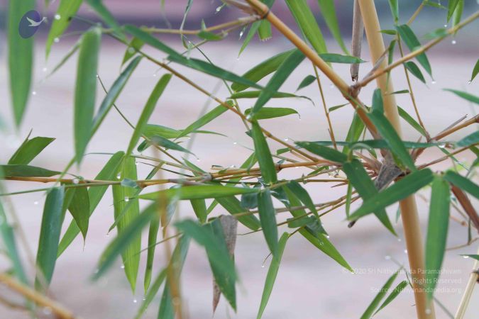 20141002 Photo 1034 1jEnAUPt4Gy5frRFwvWs8f3basr9iUszU.JPG