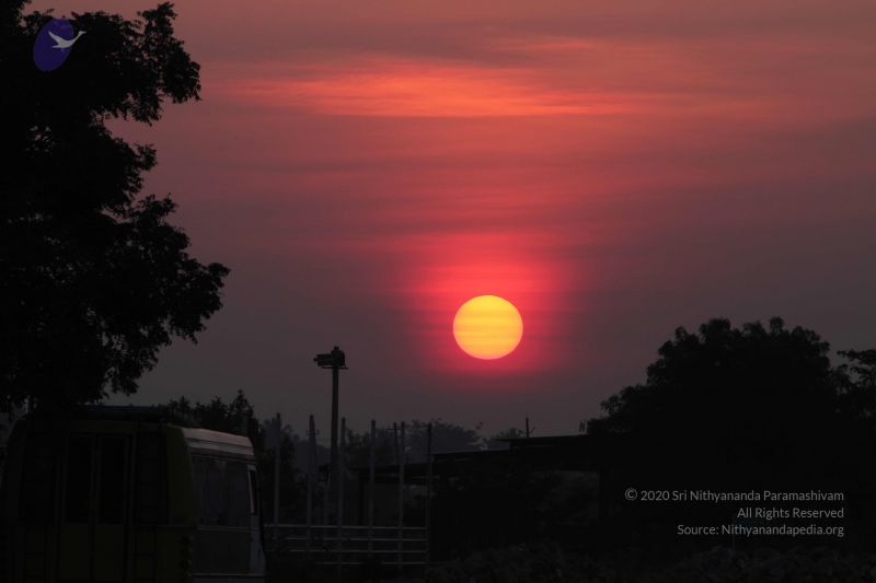 File:20141002 Photo 1041 17uNUp nSqh7Ssfr8x1HymB 6r-XeEZWE.JPG