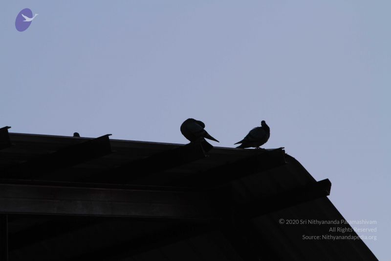 File:20141002 Photo 1046 1ys39S4-NXy9tg44s4MKU22c9rnn7dP-9.JPG