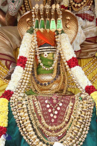 File:20141002 Photo 1152 1P7OrpRX43K2QX0kt wjTEM5dixJQfEX .JPG