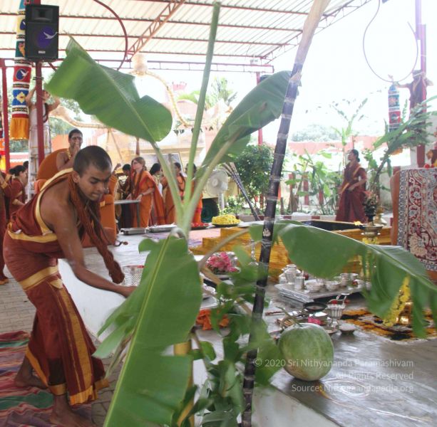 File:20141002 Photo 1368 1zTgUQPNsl8jKAWaPmipQuKtrJRLVyNhp.JPG