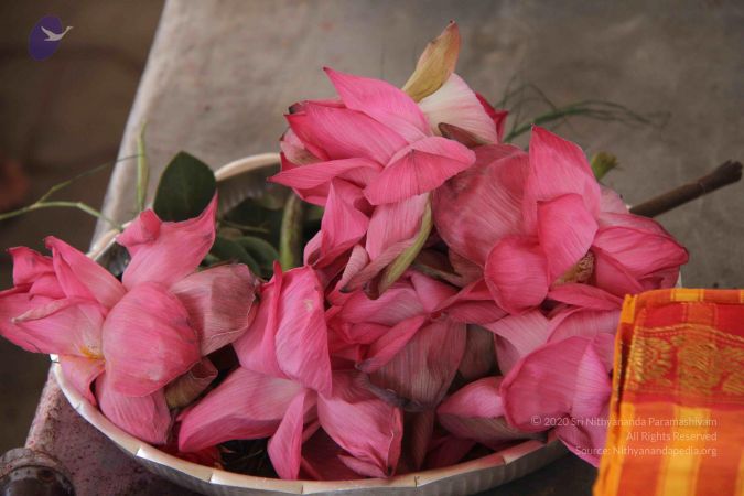 20141002 Photo 1420 1KpWXVpqgH-kFqDFi8HyQYizDTO6QJizd.JPG