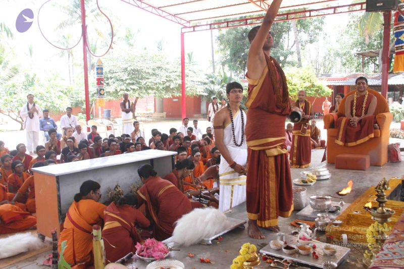 File:20141002 Photo 1450 1hav3nh2dC9Iu1vflMdSATnFhHSYv0bcH.JPG