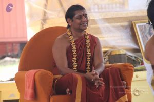 20141002 Photo 1468 1olxr3npiEubKe1yRwM7xKOXPFZCq32bU.JPG