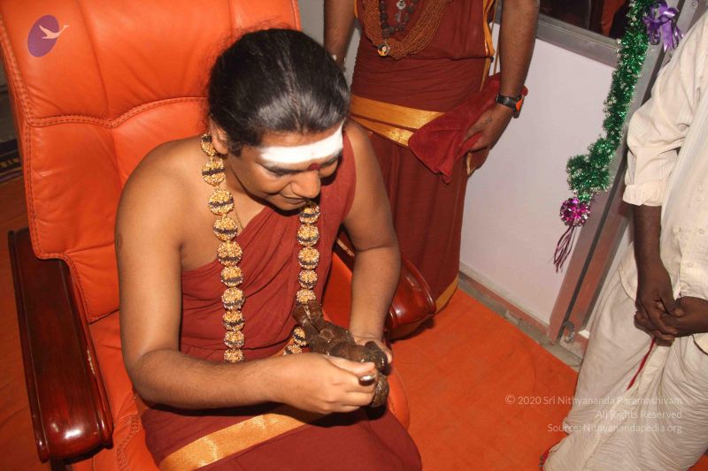 File:20141002 Photo 1757 1ZE2q0UVW5JJyEx0JkHgsW LWLiOAWKOr.JPG