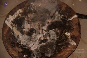 20141002 Photo 1772 1xIWSZaNCPJsOQmpljV6KlRWCiMjq~5Q.JPG