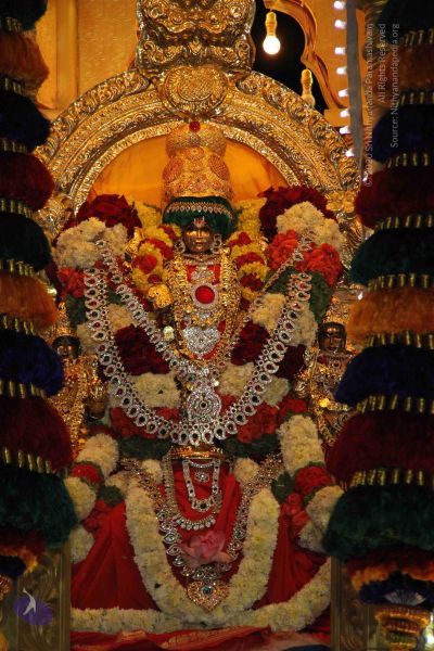 File:20141003 Photo 1067 1NjJNycKqObNu5eAl3FfPaTMTeeRHEG0z.JPG