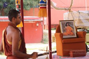 20141003 Photo 1086 126pxdQXRglaFyxFBzR1CHnWAG3SNcnco.JPG