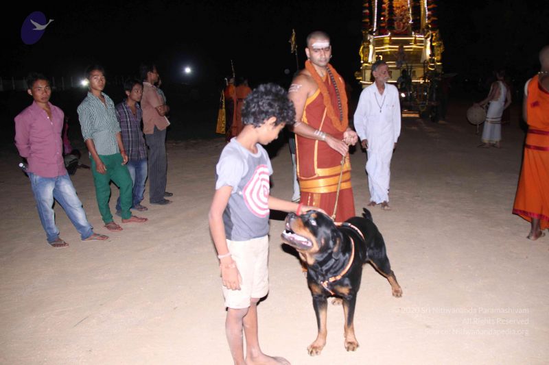 File:20141003 Photo 1095 1et7WYv VLJvzsBzNzuUi4C6Y UZWDIW9.JPG