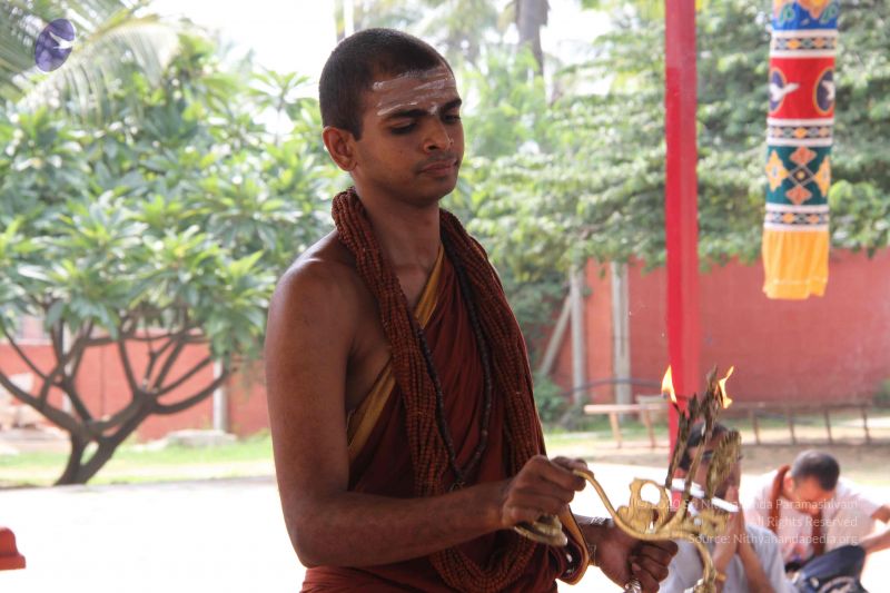 File:20141003 Photo 1095 1kmAAMpofL7MOF2cO6JRgmJ-F-TgHgeO8.JPG