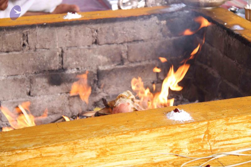 File:20141003 Photo 1135 1-QYrdbYXu30fW4q3E48BZ0NzJmKfKpsu.JPG