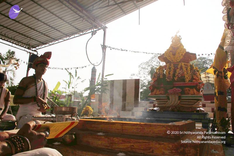 File:20141003 Photo 1156 1RAjKAvEAtx Nva5VgRMNv7q nmmqGjTa.JPG