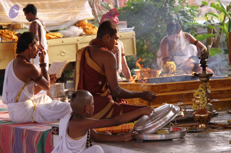 File:20141003 Photo 1169 1ZcbqVEB29l0gwFej jRH6SejZjgZAjkX.JPG