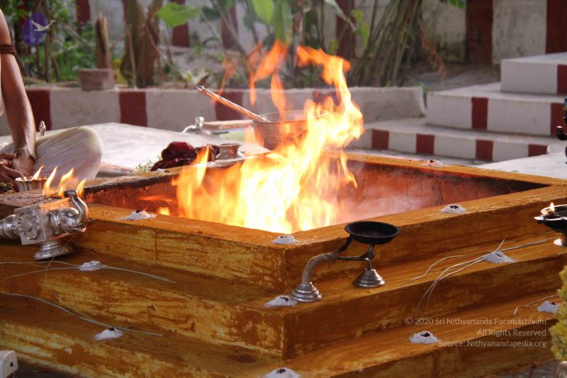 File:20141003 Photo 1242 1BH5SmRm1-lOwKs8HThEpTQeL5k2r2Lyb.JPG