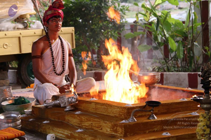 File:20141003 Photo 1243 1taVbjra0BCGyMwKz2hWJkw7 KL863-w1.JPG