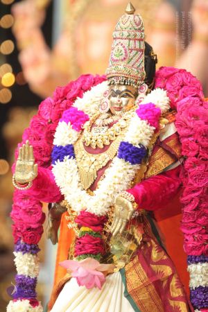 20141005 Photo 1182 1sZunw6a12nBfTFHMEfcgepd-gb-KBJc3.JPG