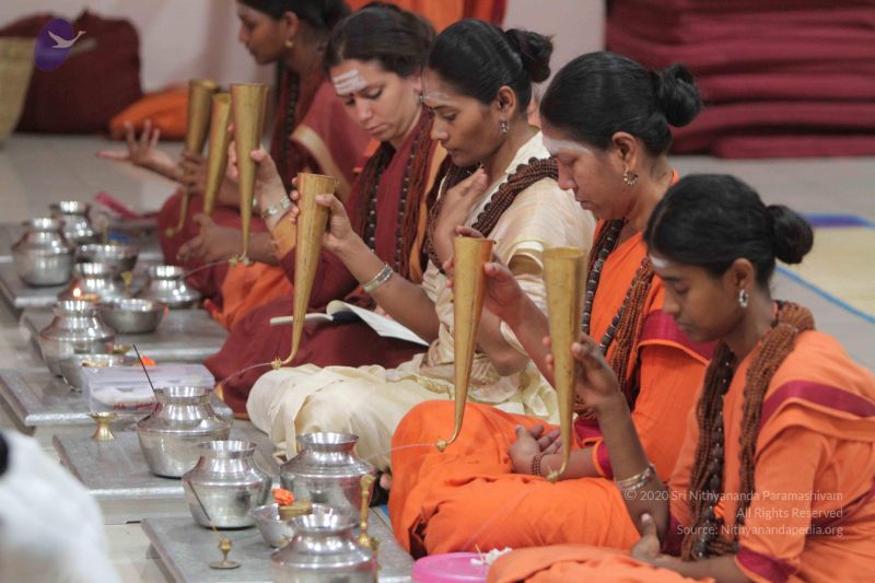 File:20141006 Photo 1008 10X71qLj5YnuJ8QiJMVqXEnJ6AlrEfGwn.JPG