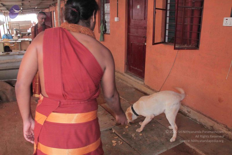 File:20141012 Photo 1276 1mDZQPuTvtRjBpIzghU3AEqj WAwdeKFy.JPG