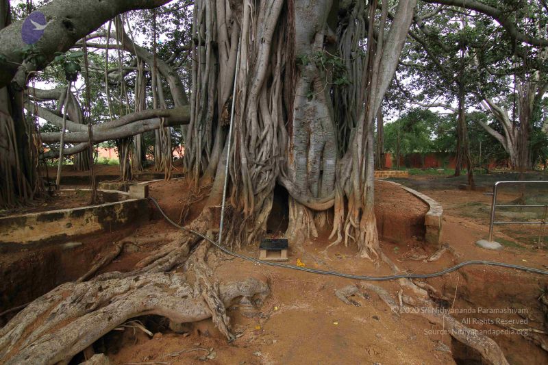 File:20141013 Photo 1048 1vA93RTq2B8-FgHhT6tZC-K-uh6KHRZo3.JPG