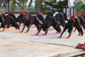 20141013 Photo 1054 1xSUnhxZcmO3FB7-rmjiqavoM5d905IO0.JPG