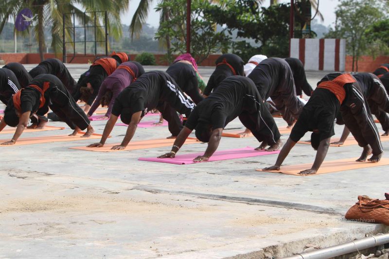 File:20141013 Photo 1054 1xSUnhxZcmO3FB7-rmjiqavoM5d905IO0.JPG